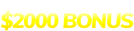 Bingo Village $2000 bonus
