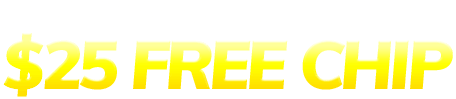 Bingo Village 25 free chip