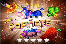 Bingo Village game